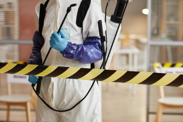 Professional Blood Cleanup technician working in Fielding, UT